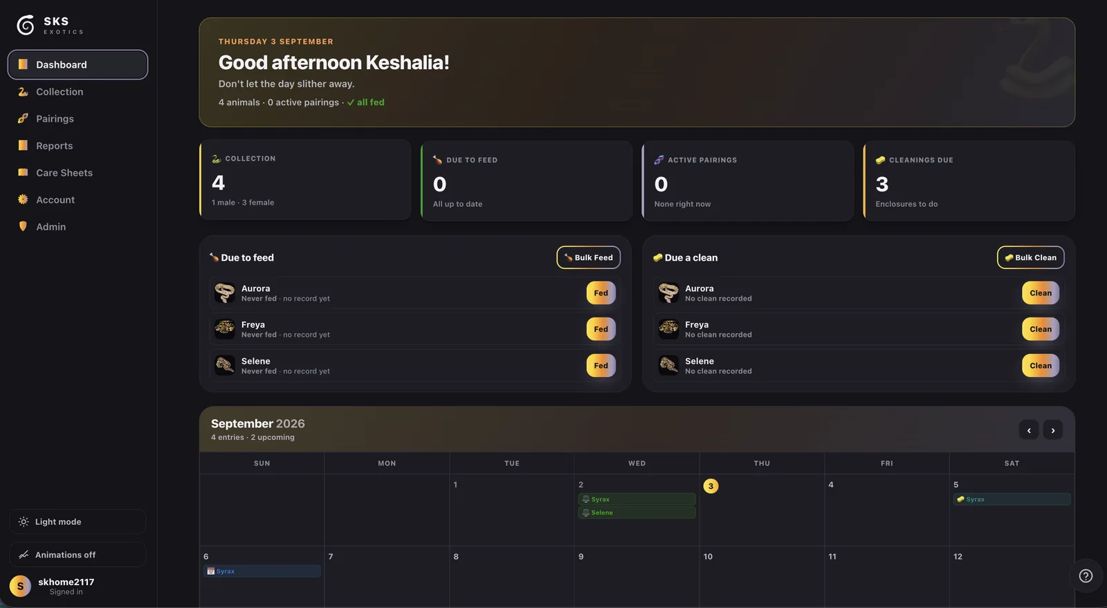 Ball python husbandry dashboard listing snakes due to feed and enclosures due for cleaning