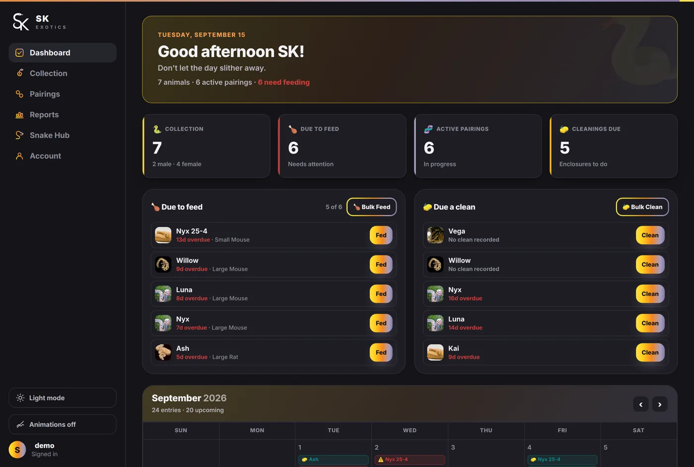 The dashboard