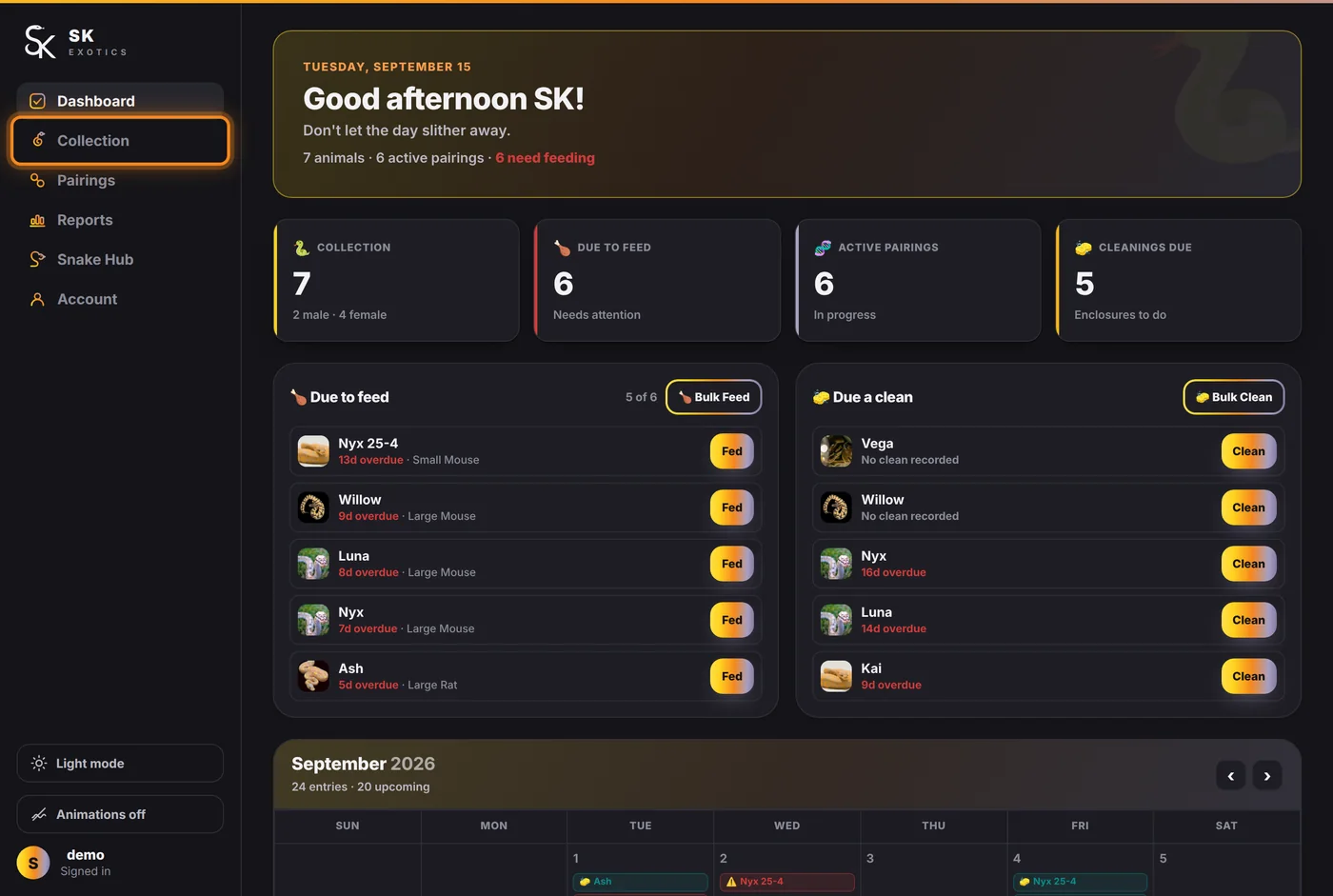 Collection in the sidebar