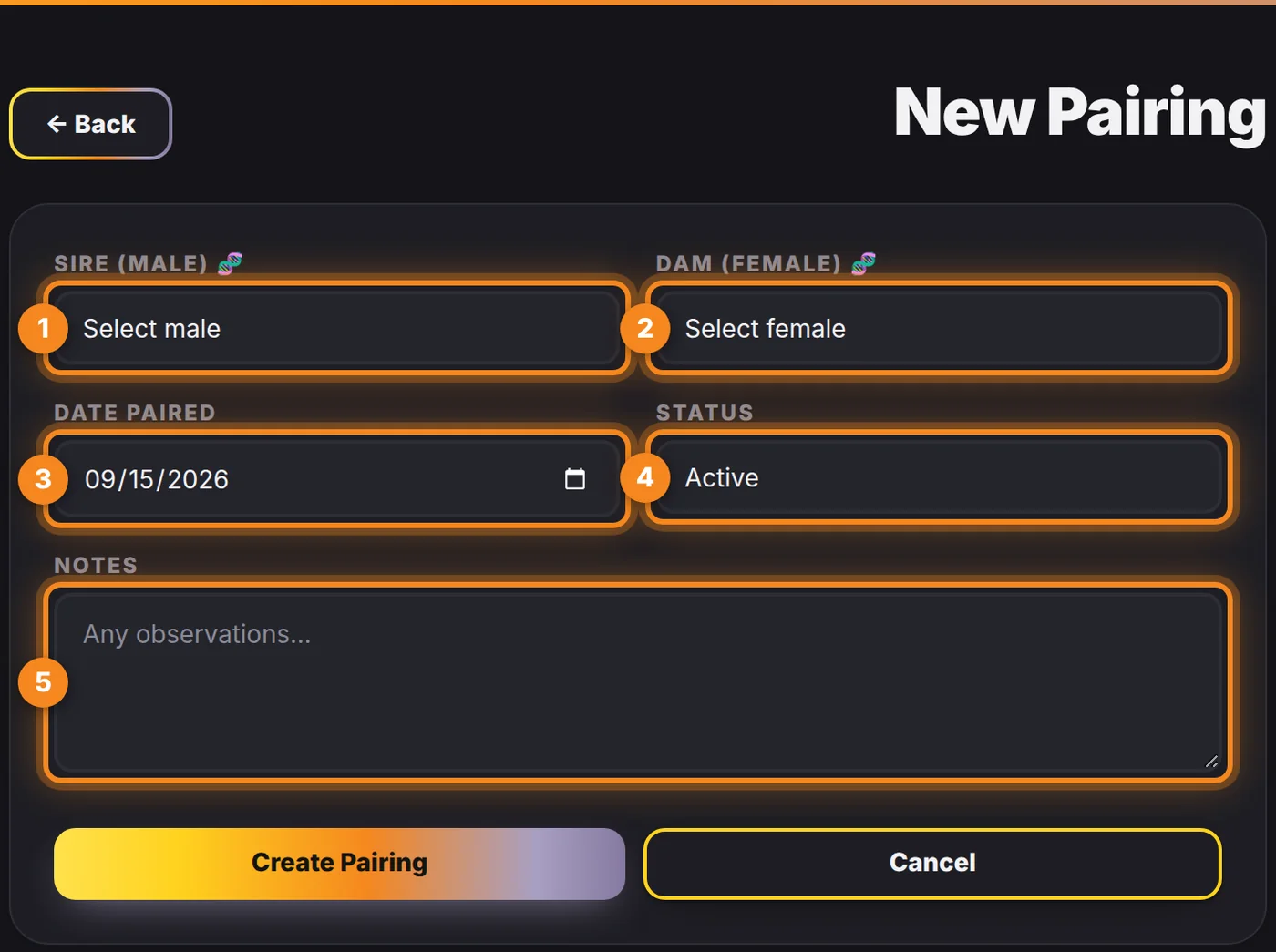 The New Pairing form