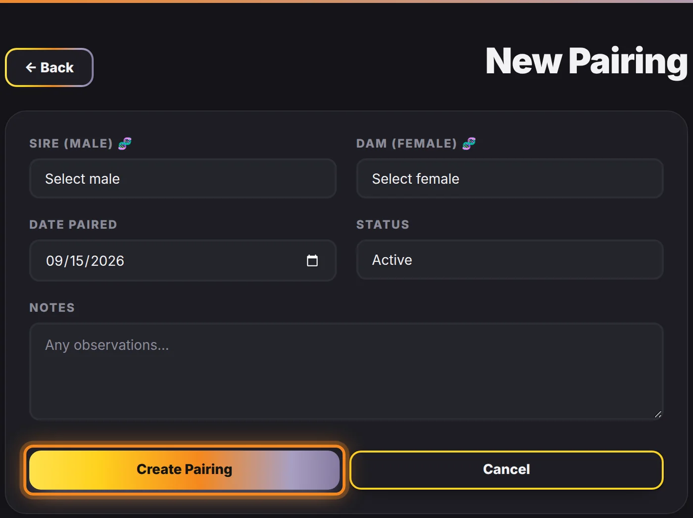 The Create Pairing button